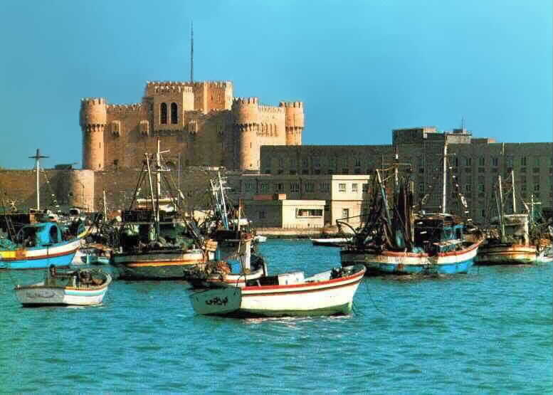 Explore the Wonders of Alexandria – Full-Day Guided Tour