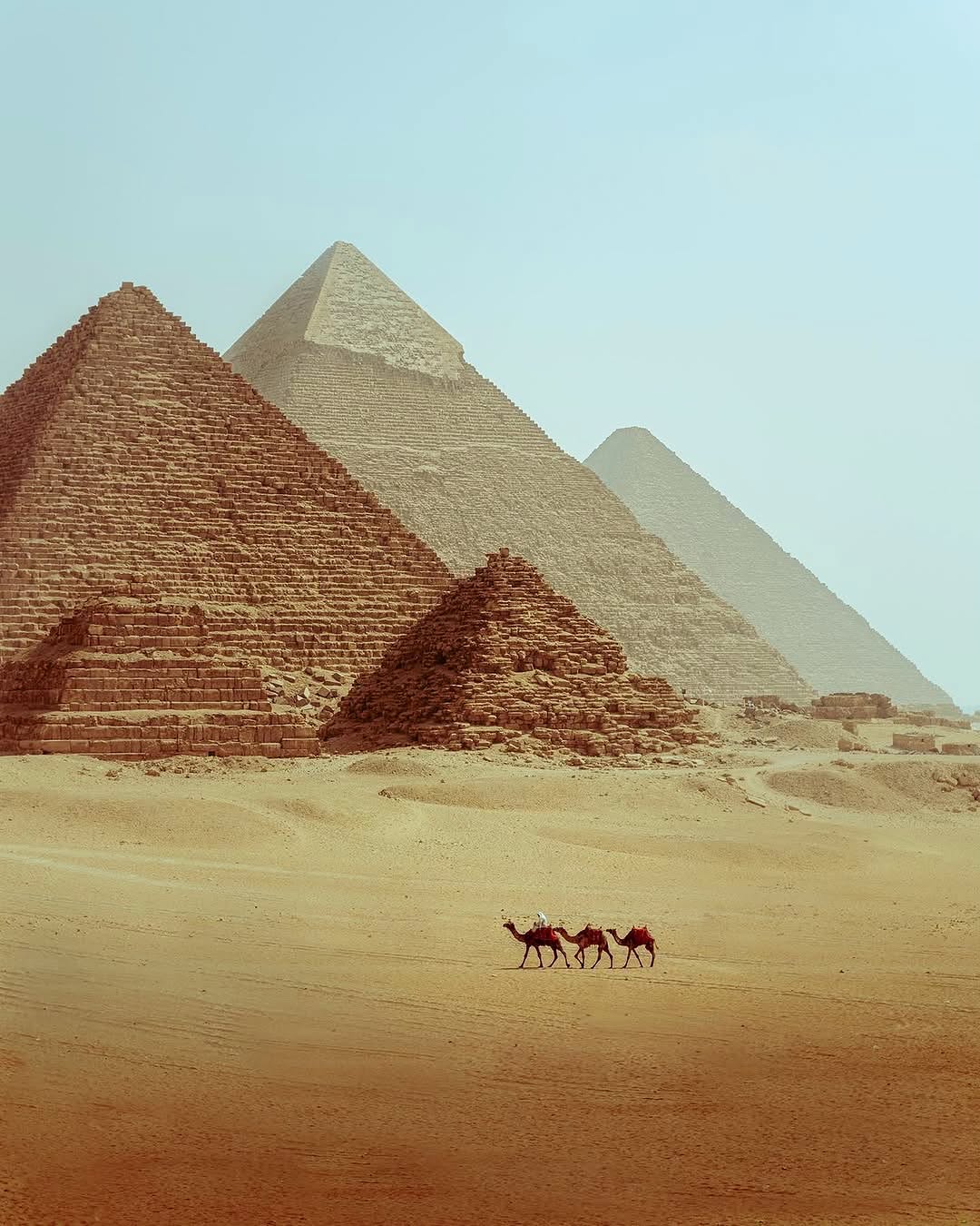 Giza to Saqqara Camel Safari: A Timeless Journey Through the Sands of Egypt