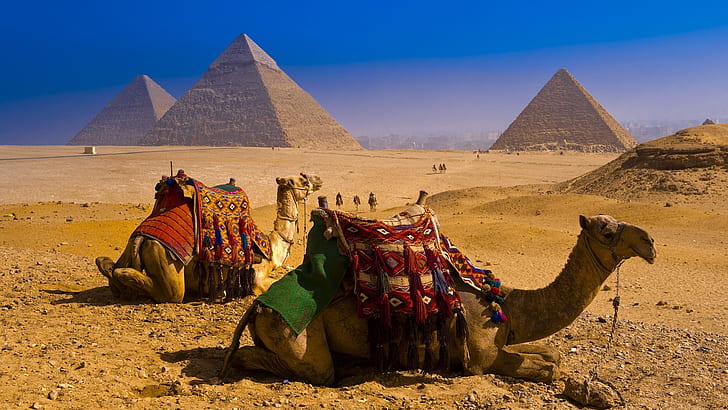 Giza to Saqqara Camel Safari: A Timeless Journey Through the Sands of Egypt